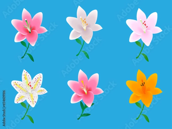 Fototapeta ユリの花のセット