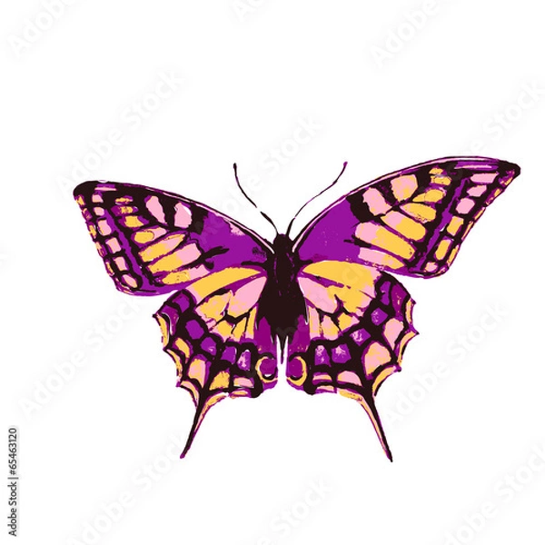 Fototapeta butterflies design