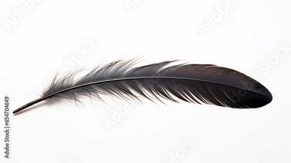 Obraz raven feather on a white background