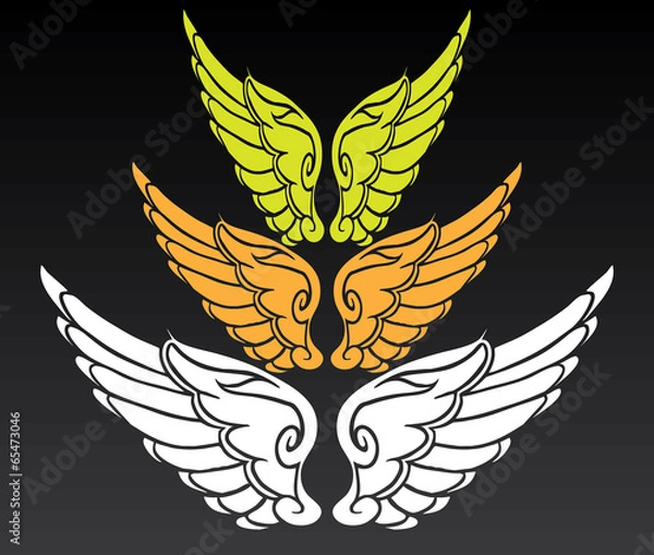 Obraz Angel wings