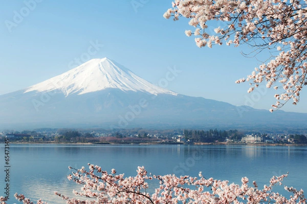 Obraz Fuji and Sakura view at Lake Kawaguchiko