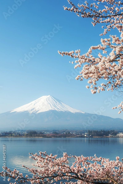 Obraz Fuji mountain and Sakura view