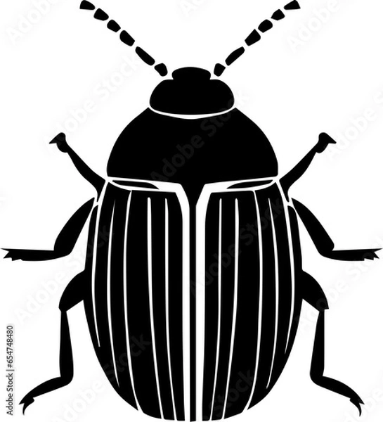 Obraz Flour Beetle icon 4