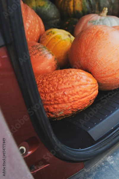 Fototapeta Red car with different pumpkins in the trunk. Farmers car on Halloween holiday. Vertical photo Closeup.