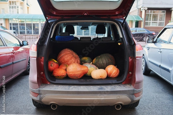 Fototapeta Red car with different pumpkins in the trunk. Parked farmers  SUV on Halloween holiday. Horizontal photo.