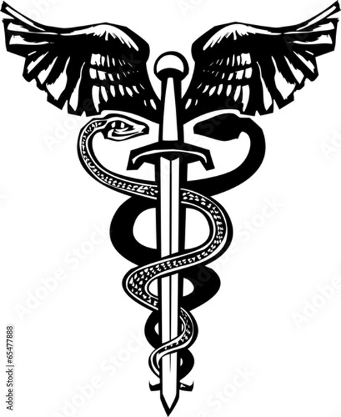 Obraz Sword Caduceus