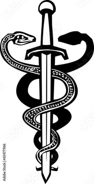 Obraz Wąż spleciony miecz