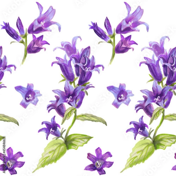 Fototapeta Set of 2 Seamless patterns with Campanula flowers, a background with hand-drawn watercolor botanical illustrations purple and pink spring flowers.