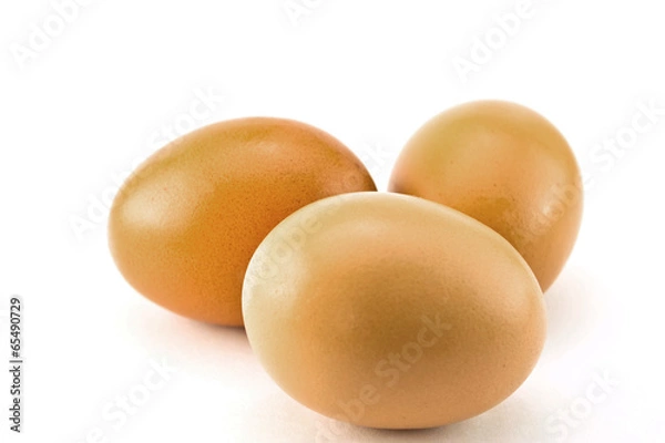 Obraz Eggs on a white background