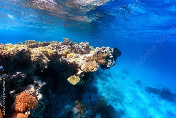 Obraz cliff on coral reef