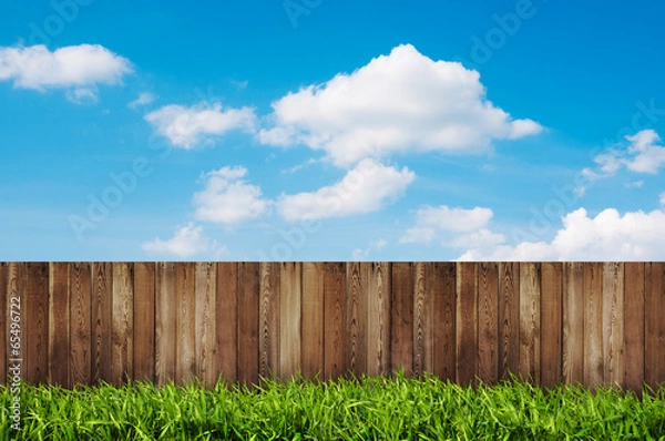 Fototapeta backyard in summer