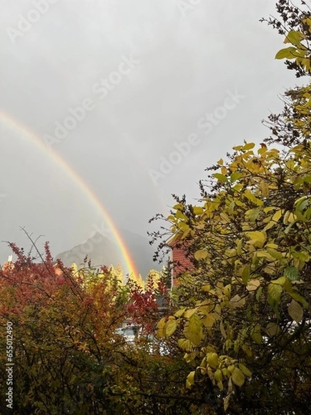 Obraz rainbow in the sky