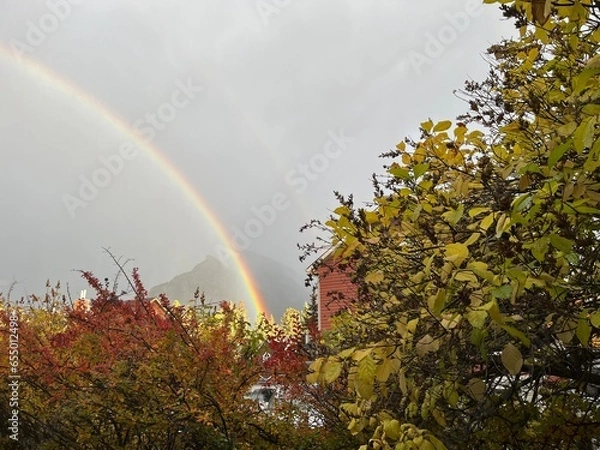 Obraz rainbow in the sky