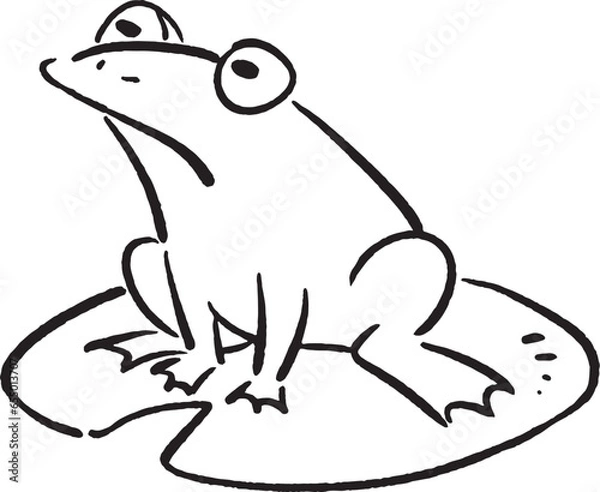 Fototapeta Tree frog and Lotus leaf