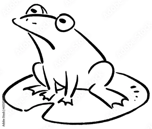 Fototapeta Tree frog and Lotus leaf