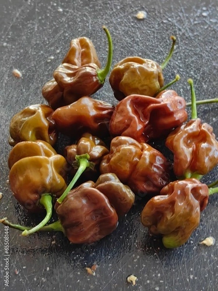 Obraz habanero chocolate