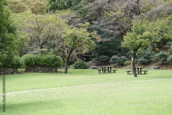 Obraz 静かな森の公園