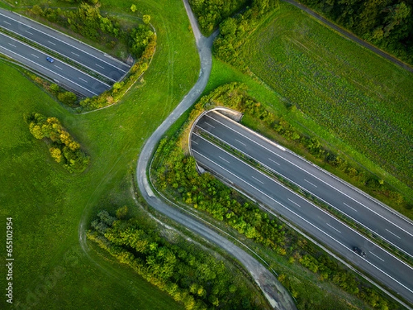 Fototapeta Aerial view of a green bridge ecoduct for fauna crossing above the highway.