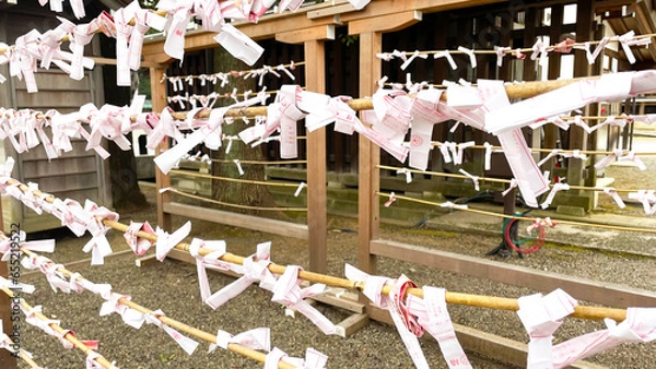 Obraz 靖国神社の境内に結ばれたおみくじ