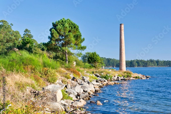 Fototapeta Pine and chimney