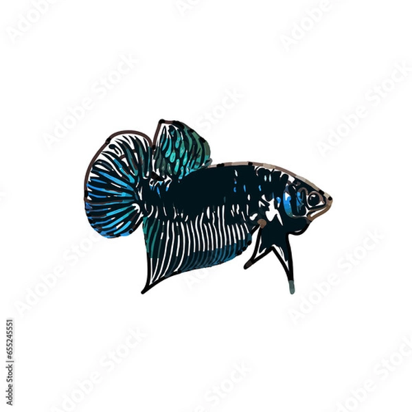 Fototapeta Color sketch of ornamental fish with a transparent background to learn coloring and logo elements