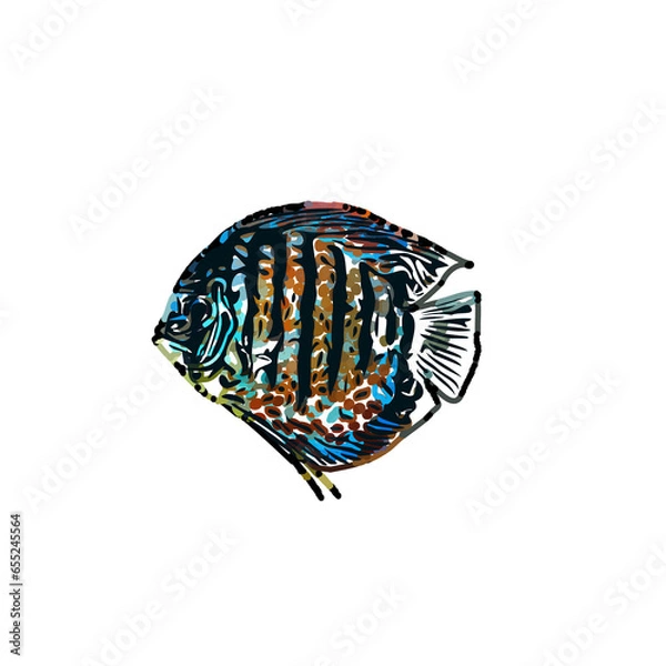 Fototapeta Color sketch of ornamental fish with a transparent background to learn coloring and logo elements