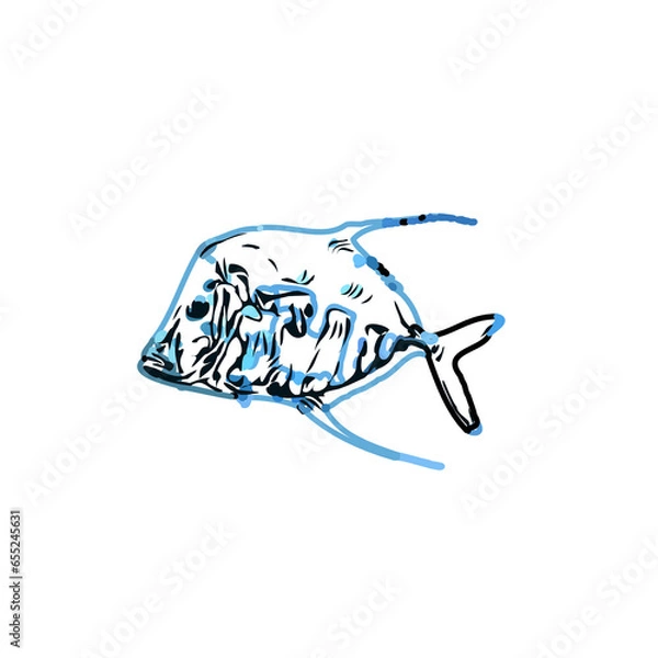 Fototapeta Color sketch of ornamental fish with a transparent background to learn coloring and logo elements