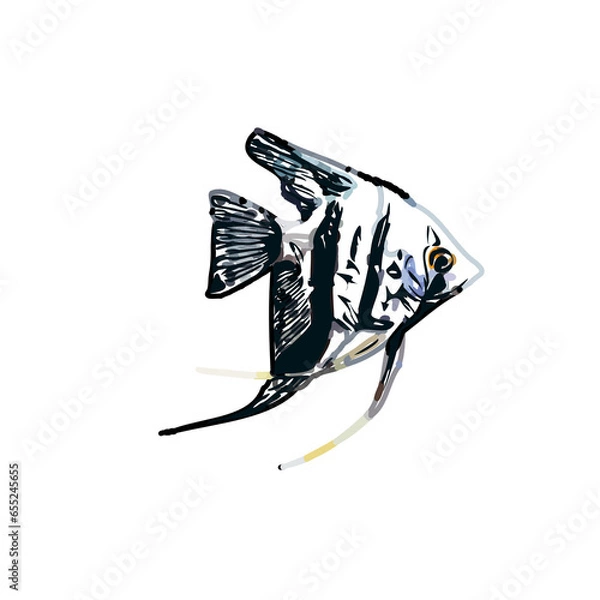 Fototapeta Color sketch of ornamental fish with a transparent background to learn coloring and logo elements