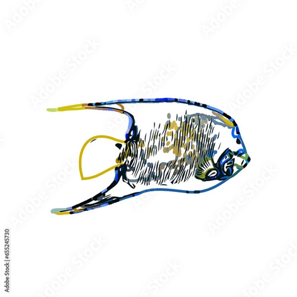 Fototapeta Color sketch of ornamental fish with a transparent background to learn coloring and logo elements
