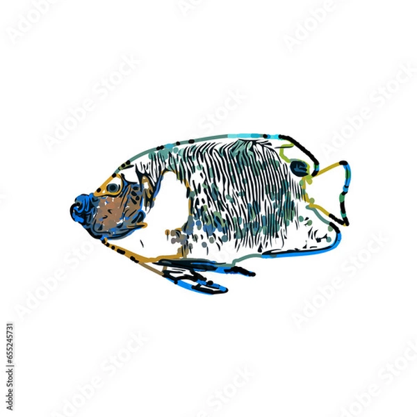 Fototapeta Color sketch of ornamental fish with a transparent background to learn coloring and logo elements