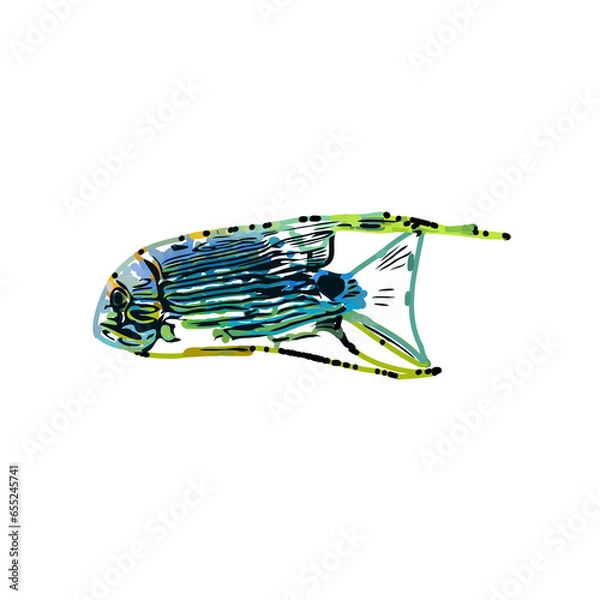Fototapeta Color sketch of ornamental fish with a transparent background to learn coloring and logo elements