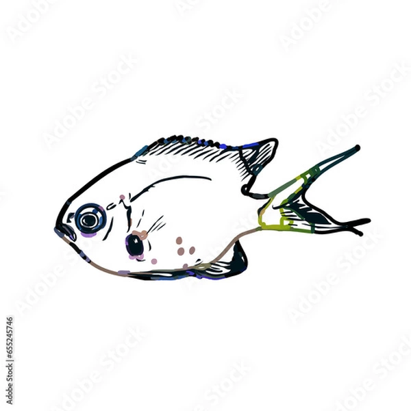 Fototapeta Color sketch of ornamental fish with a transparent background to learn coloring and logo elements