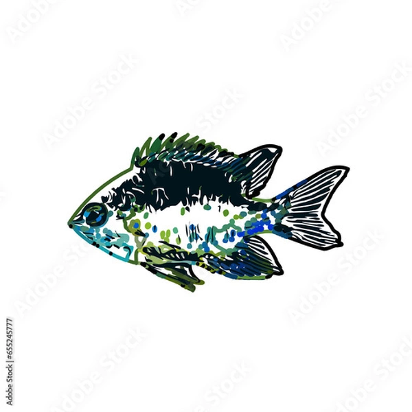 Fototapeta Color sketch of ornamental fish with a transparent background to learn coloring and logo elements