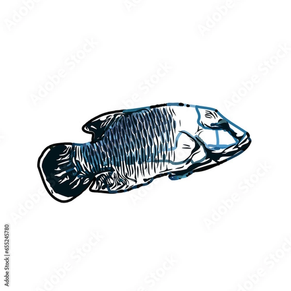 Fototapeta Color sketch of ornamental fish with a transparent background to learn coloring and logo elements