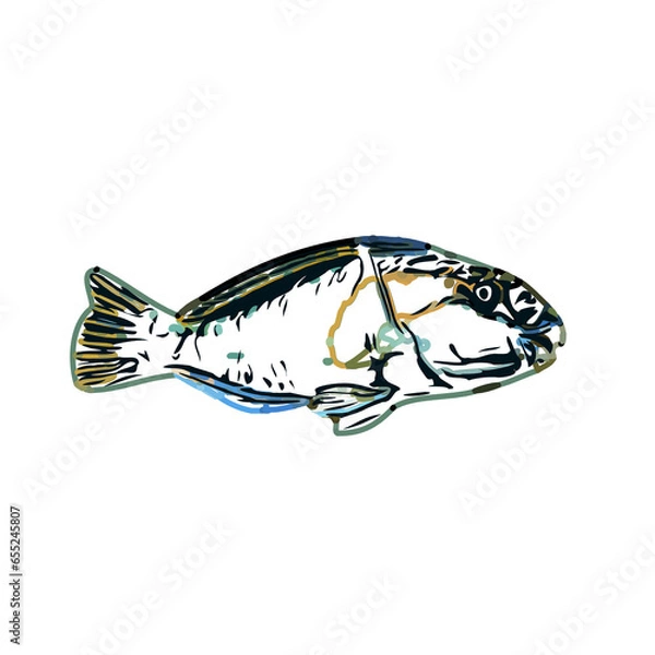 Fototapeta Color sketch of ornamental fish with a transparent background to learn coloring and logo elements