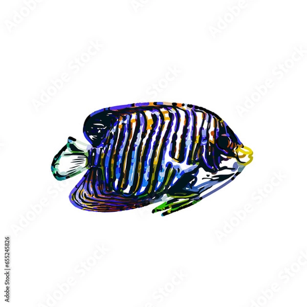 Fototapeta Color sketch of ornamental fish with a transparent background to learn coloring and logo elements