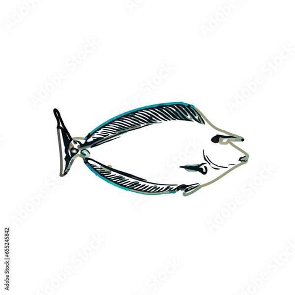 Fototapeta Color sketch of ornamental fish with a transparent background to learn coloring and logo elements