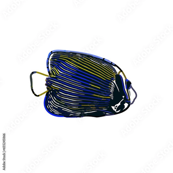 Fototapeta Color sketch of ornamental fish with a transparent background to learn coloring and logo elements