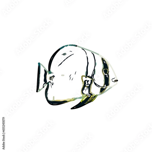 Fototapeta Color sketch of ornamental fish with a transparent background to learn coloring and logo elements