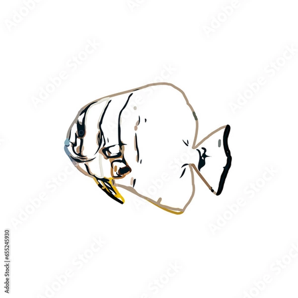 Fototapeta Color sketch of ornamental fish with a transparent background to learn coloring and logo elements