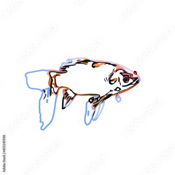 Fototapeta Color sketch of ornamental fish with a transparent background to learn coloring and logo elements
