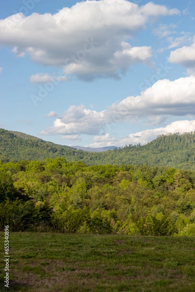 Fototapeta landscape with trees