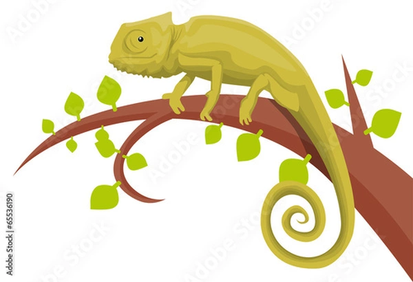 Obraz Chameleon