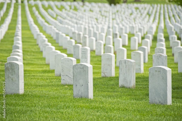 Fototapeta Cmentarz Arlington Cmentarz