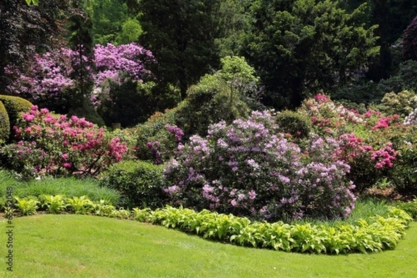 Obraz Garden