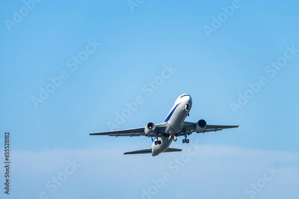 Fototapeta 東京の空港から離陸する飛行機