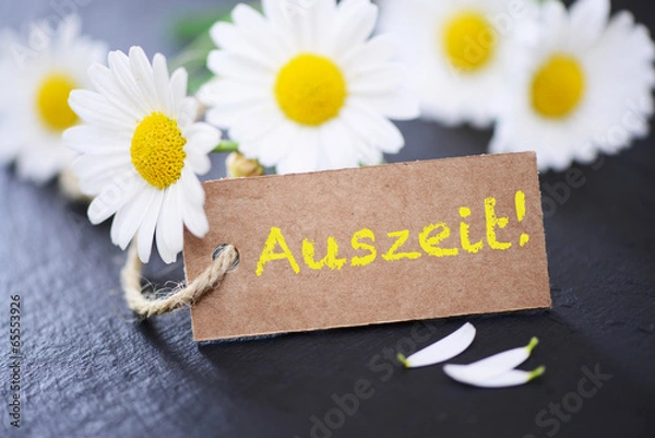 Fototapeta Margeriten