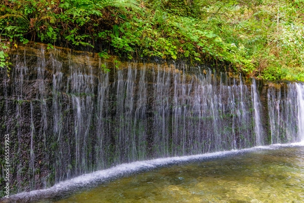 Fototapeta 長野県軽井沢町の白糸の滝
