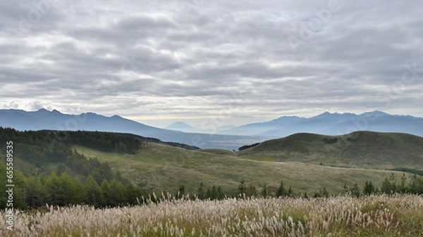 Obraz 霧ヶ峰高原から富士山を望む