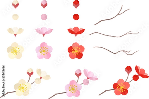 Obraz 梅の花のパーツセット